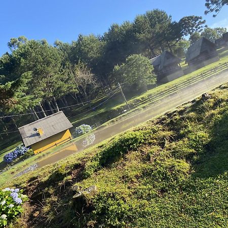 Cabanas Leao Da Tribo De Juda Canela Buitenkant foto