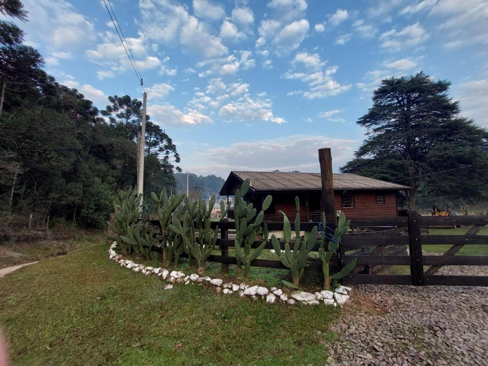 Cabanas Leao Da Tribo De Juda Canela Buitenkant foto